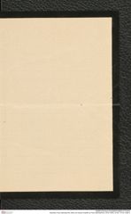 Nachlass Franz Steindachner, Brief von Eduard Graeffe an Franz Steindachner (16.04.1904), Inv.Nr. 173.43, Seite 3